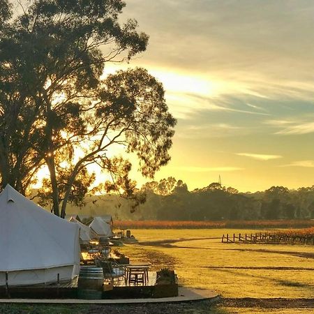 Balgownie Estate Bendigo Panzió Kültér fotó